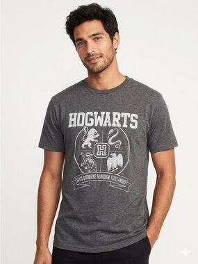 Harry Potter Hogwarts Crest Graphic Tee Charcoal Grey XL - 569